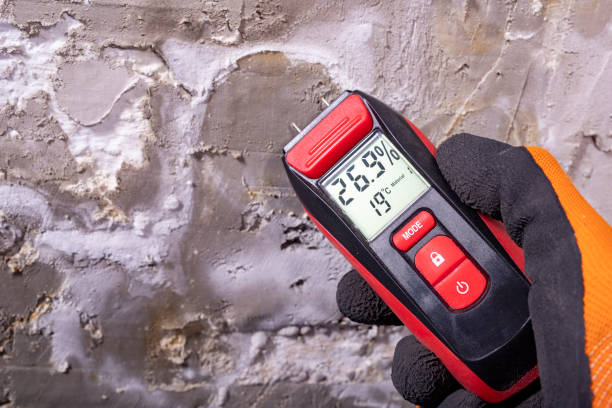 Mold Removal Process in Rock Rapids, IA