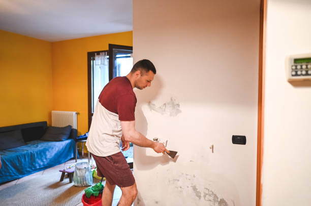 Best Emergency Mold Removal  in Rock Rapids, IA